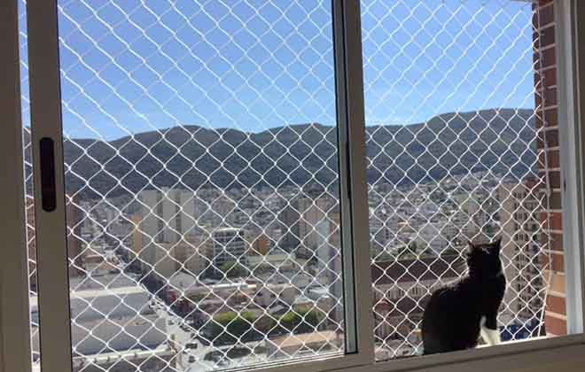 Empresa de Tela de Proteçao em Sao Paulo