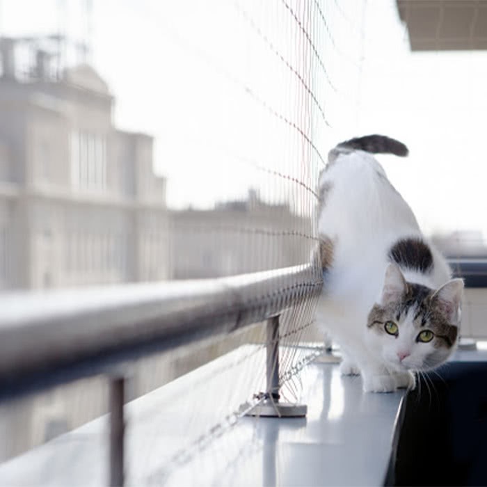 rede de proteção para pets em sacada