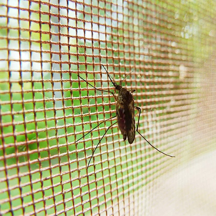 telas na zona norte de sp