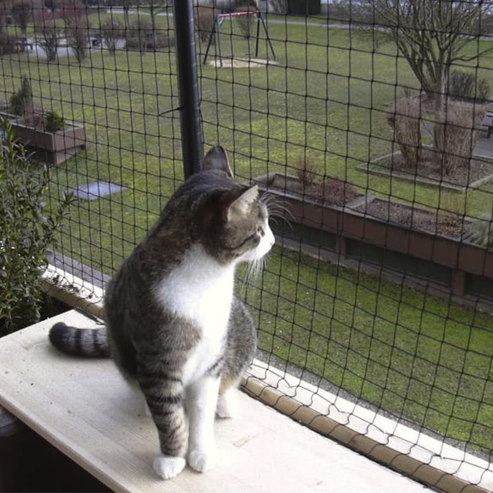 tela de proteção para pets