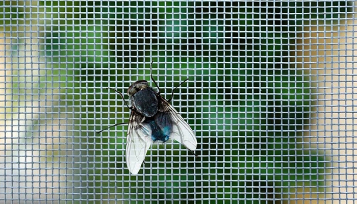 Tela mosquiteiro na zona norte