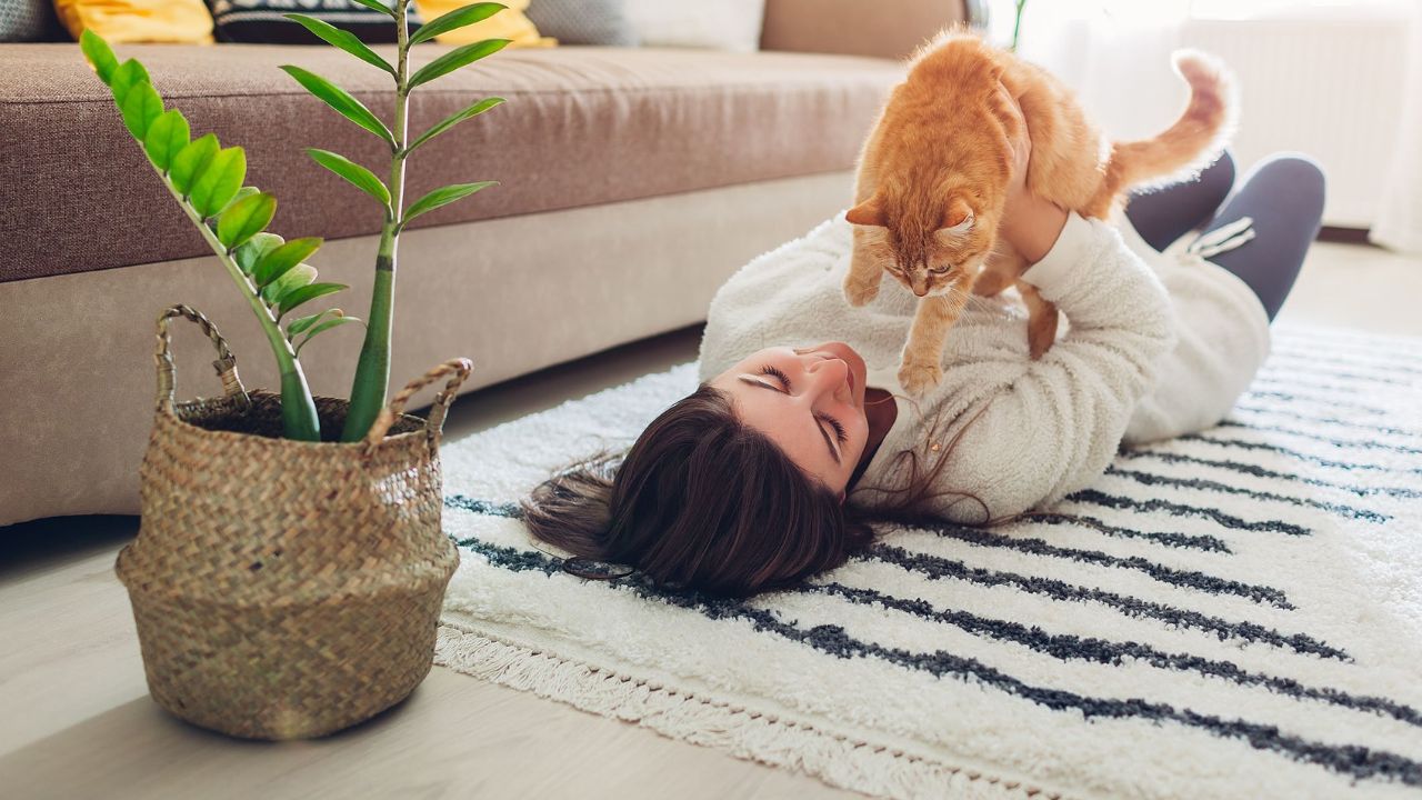 5 truques com tapetes para mantê-los novos