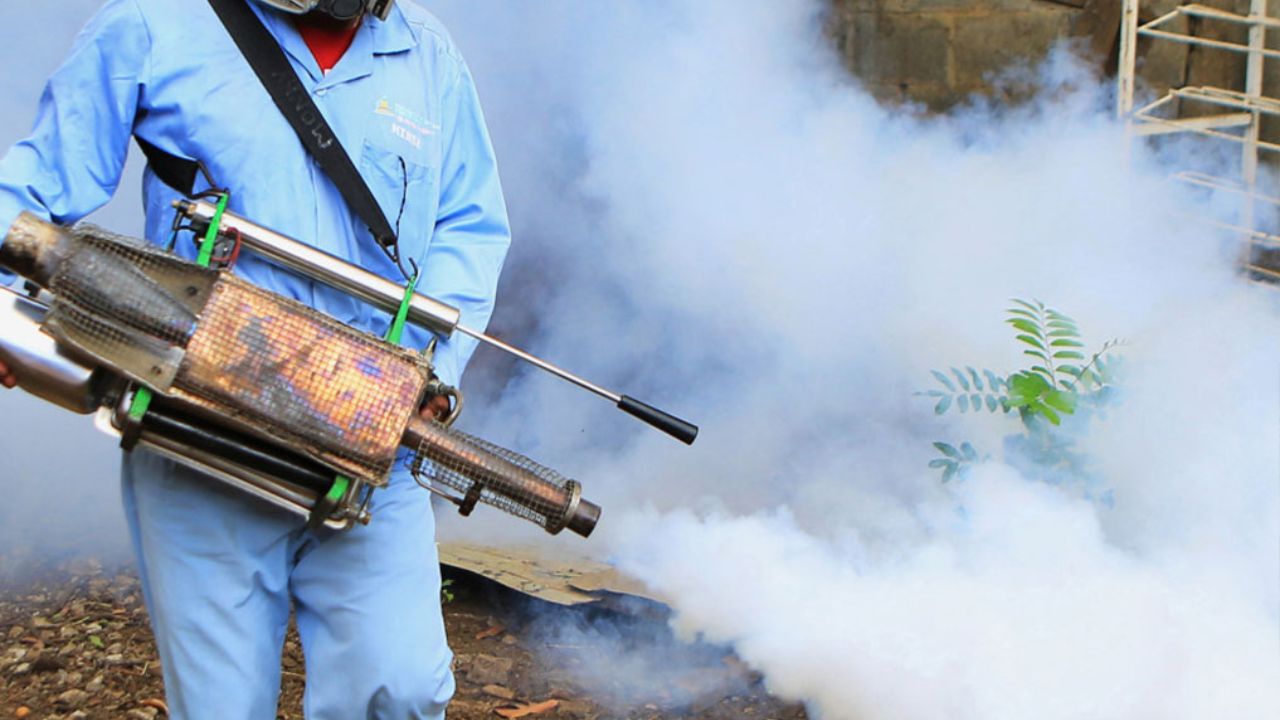 O que é Dedetização