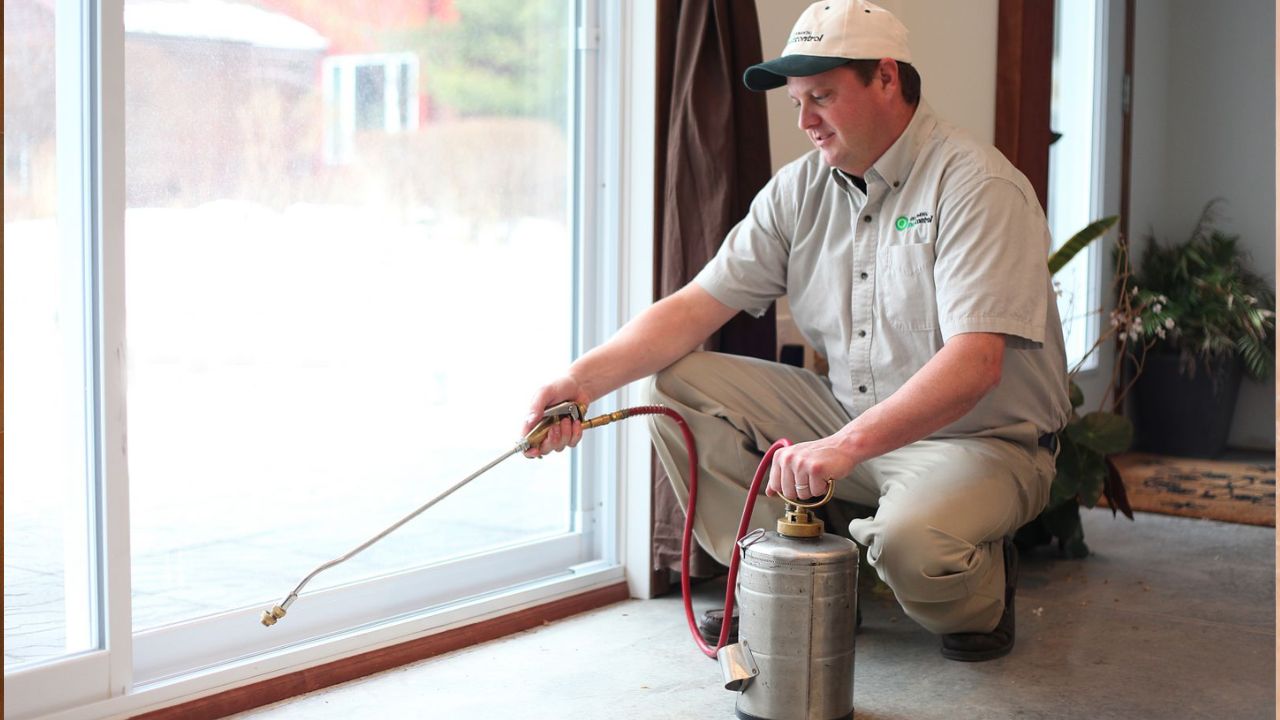 O que é o Controle de Pragas