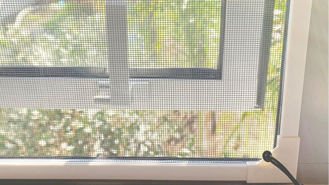 Vantagens de usar uma tela mosquiteira em sua casa!