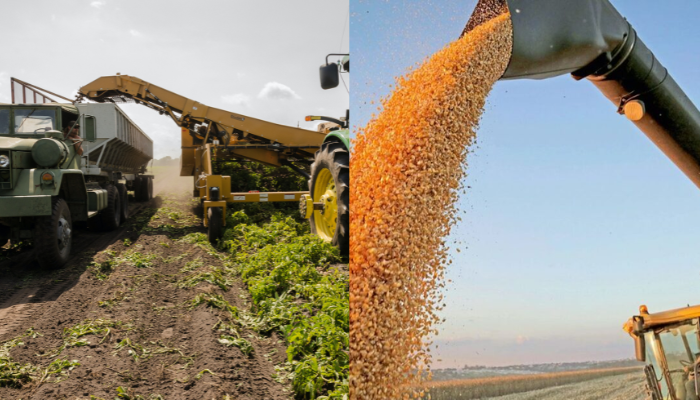 Como Melhorar a Produtividade Agrícola e muito mais sobre Agro!