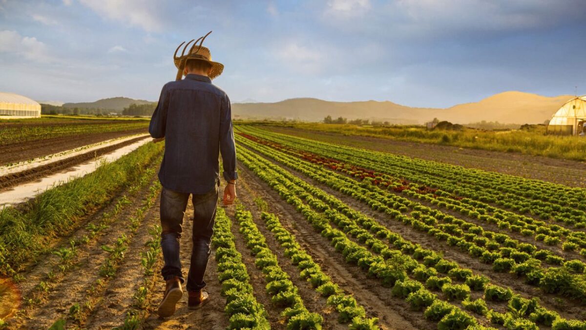 Fatos sobre a agricultura