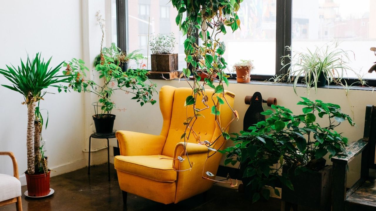 Significado das cores