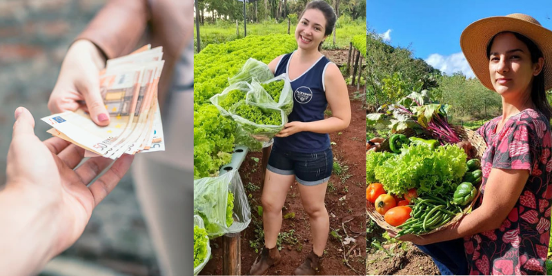 Dicas de ouro para ganhar dinheiro no quintal de casa