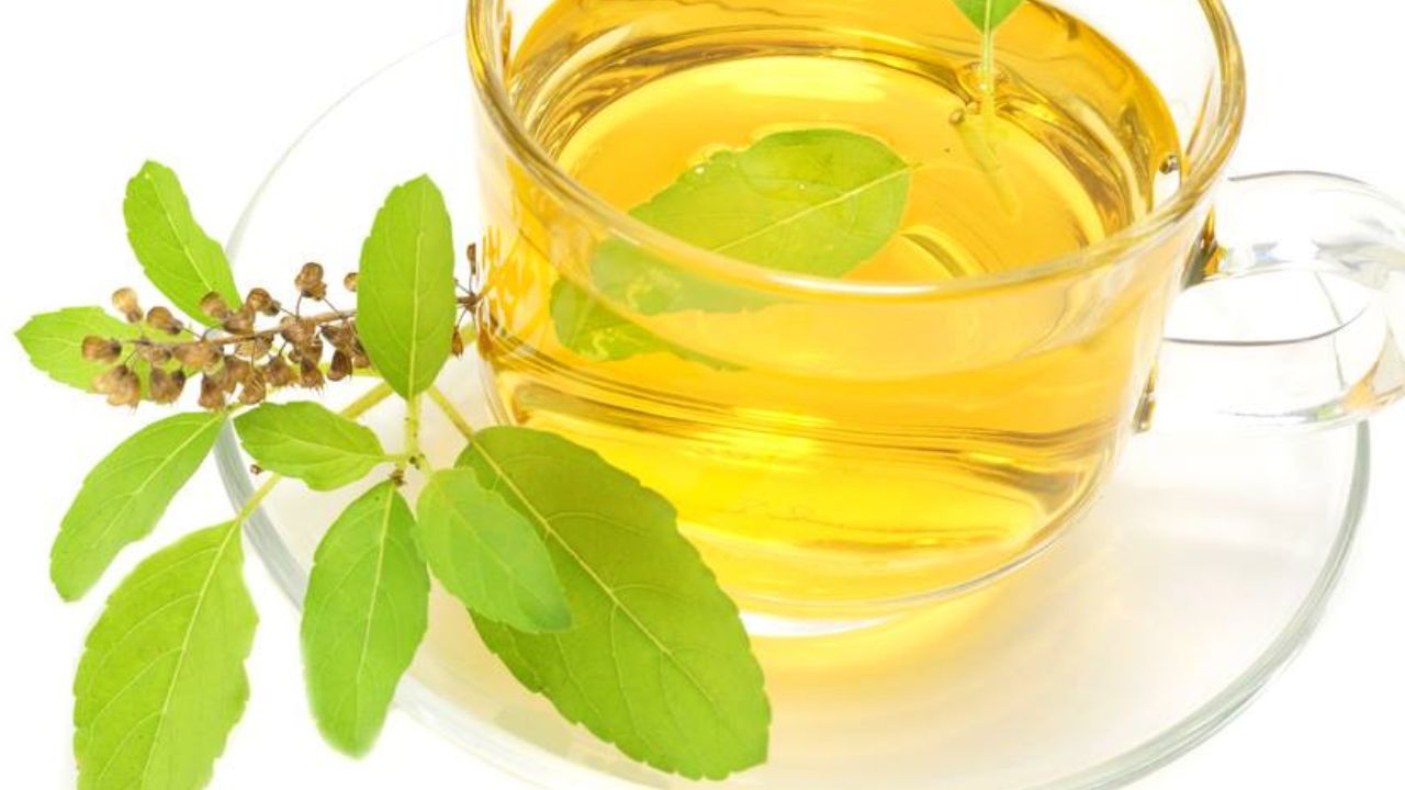 Benefícios do Manjericão