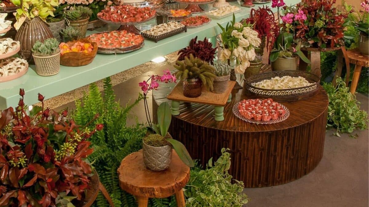 Como fazer suas Plantas crescerem