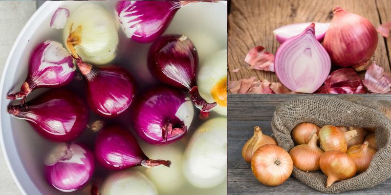 Benefícios da cebola