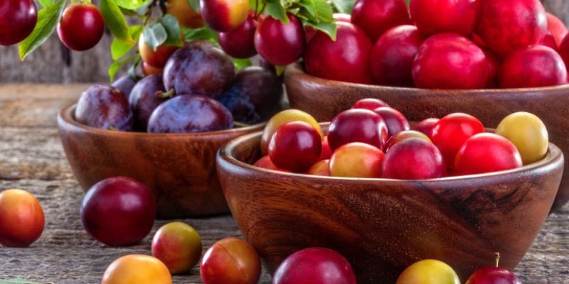 Características sobre as ameixas