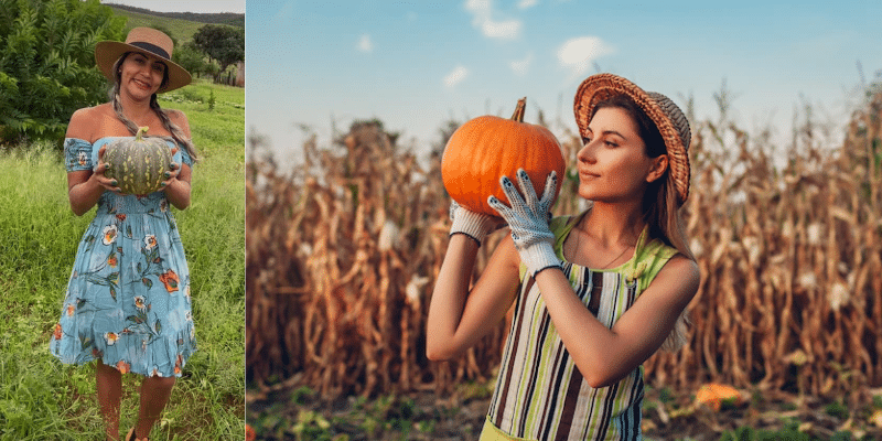 Como cultivar abóbora e benefícios dessa delícia rica em Vitamina A