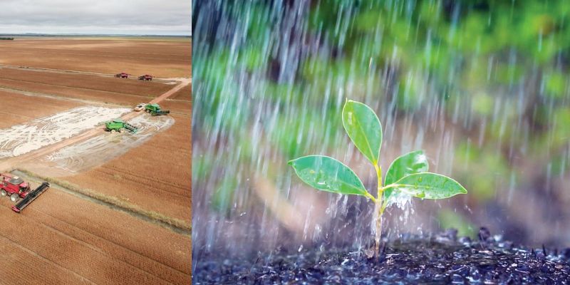 Importância da previsão do tempo na agricultura