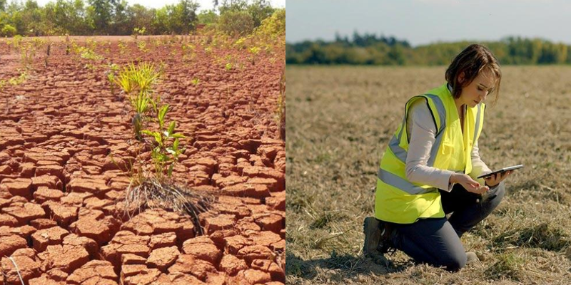O que é degradação do solo e o que ela causa!