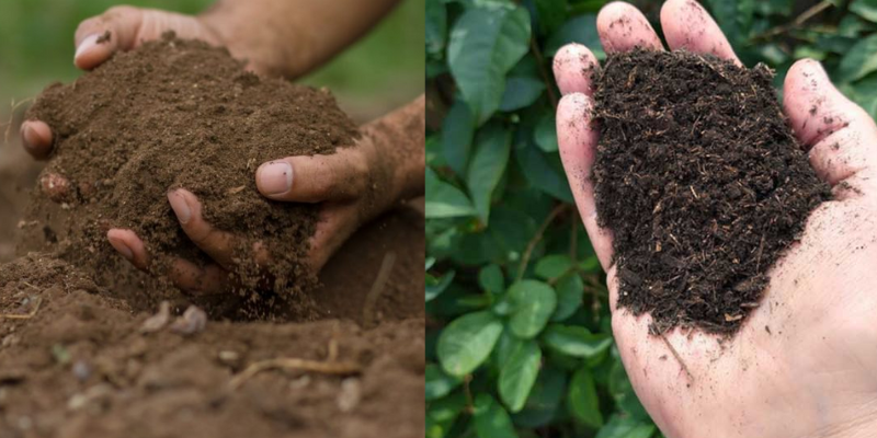 Como usar condicionador de solo e vantagens de usá-lo