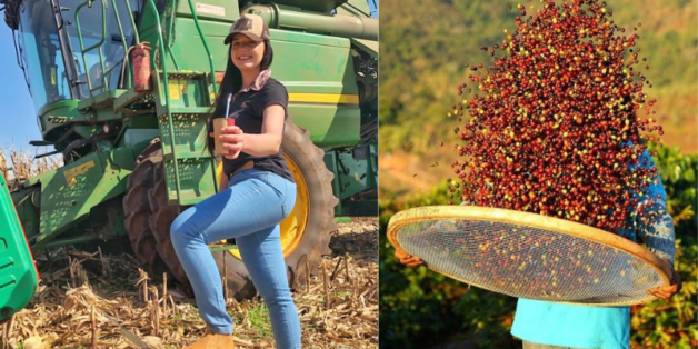 O que é a cafeicultura de precisão