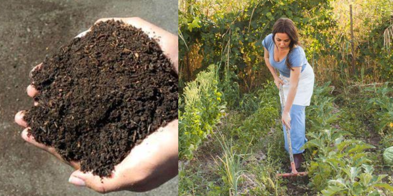 O que é condicionador de solo