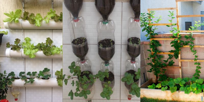 O que é uma horta vertical