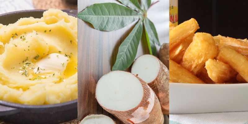 Usos da mandioca na alimentação humana