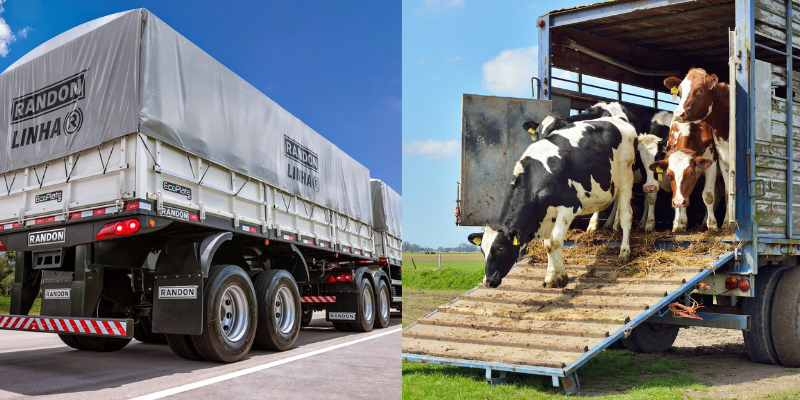 Caminhões de frete para diferentes cargas