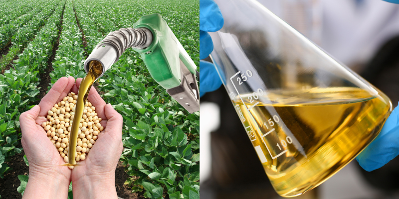 Como é feito o biodiesel