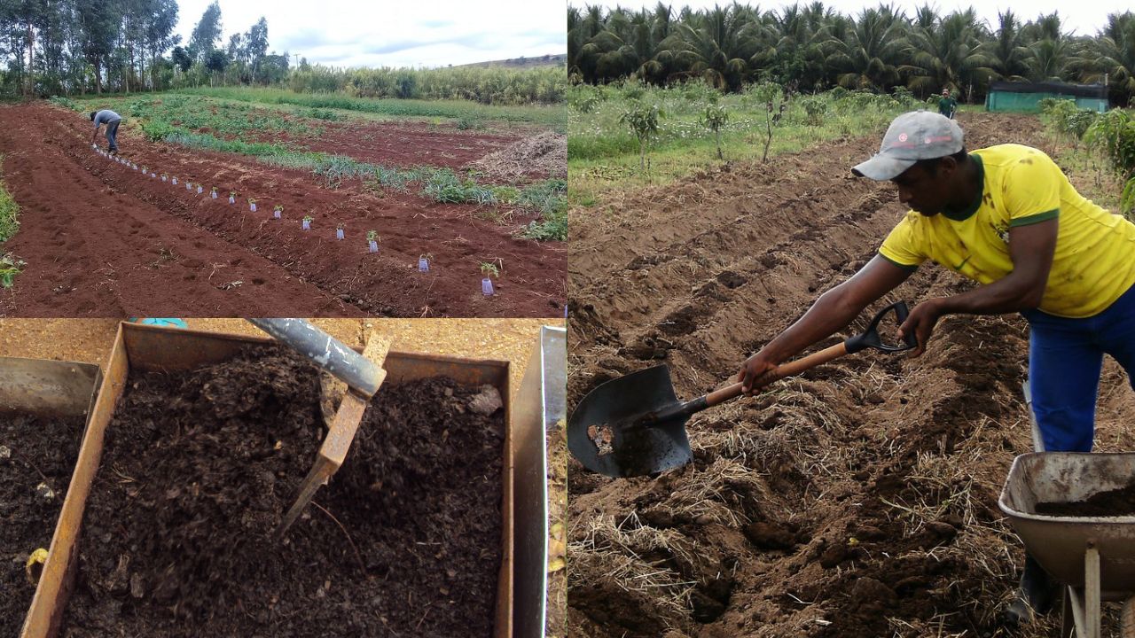 Como fazer a adubação orgânica