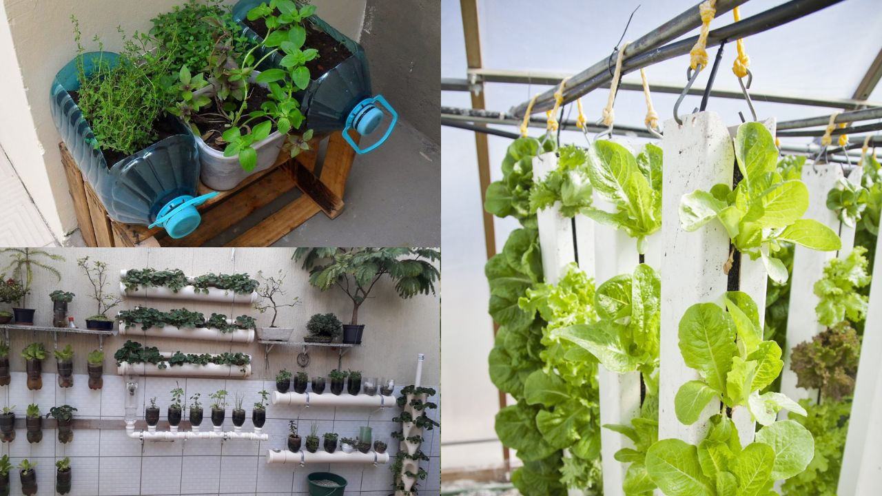 Como montar uma horta vertical em casa