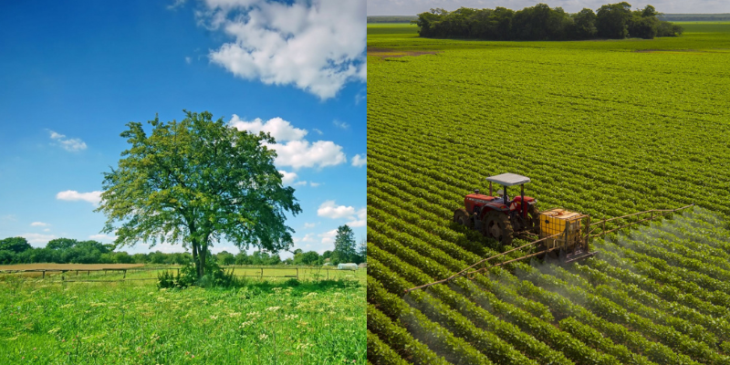 Gestão de propriedades rurais