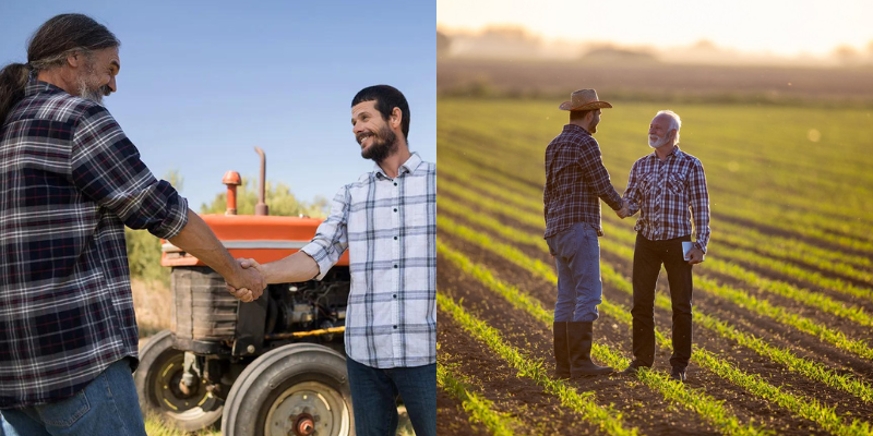 Contratos agrícolas