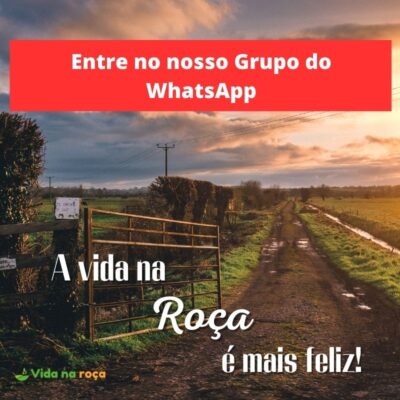 Entre no nosso Grupo do WhatsApp