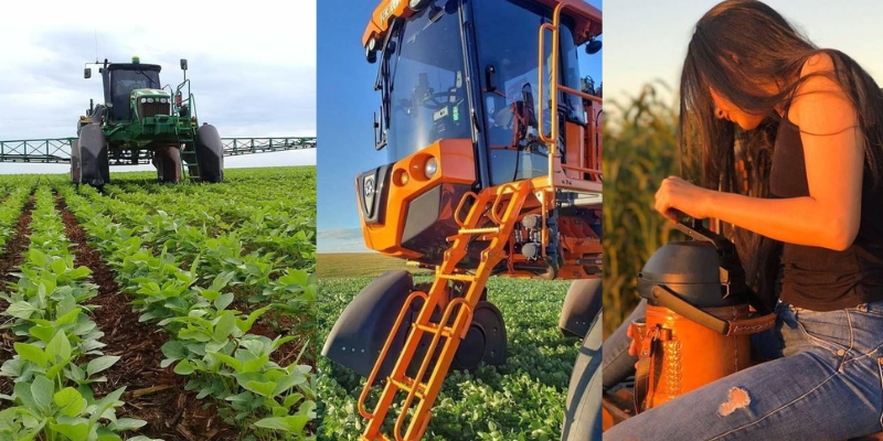 Importância do Agronegócio no Brasil que merece sua atenção