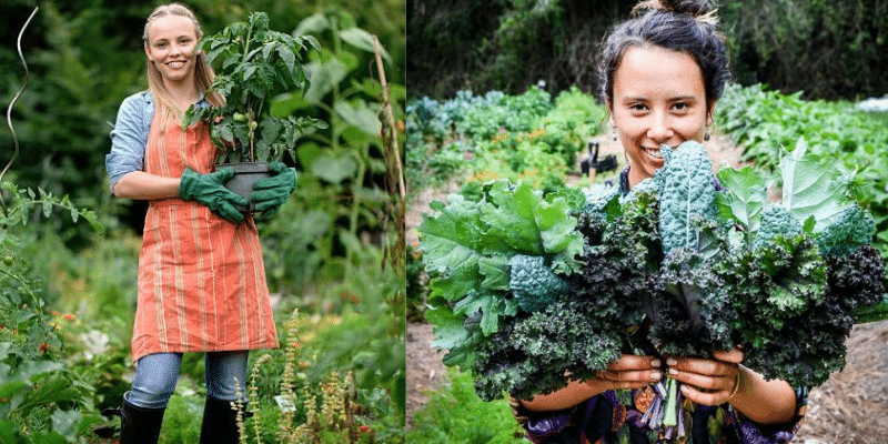 Dinâmica do seu mercado na negociação no agronegócio