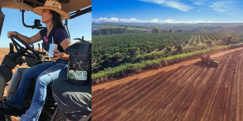 Estratégias para melhores resultados no campo