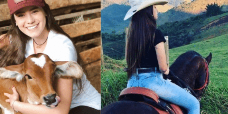 Como cuidar da sua fazenda e gestão rural!