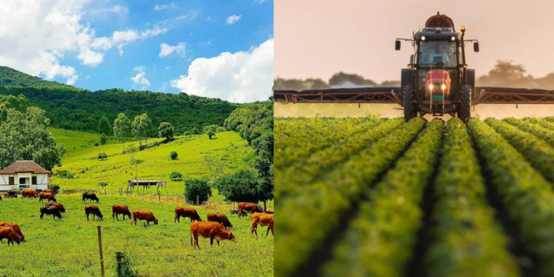 Como render mais no campo ou qualquer área da vida!