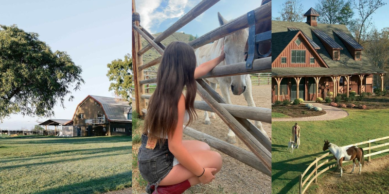 Ponto mais importante na expansão da fazenda