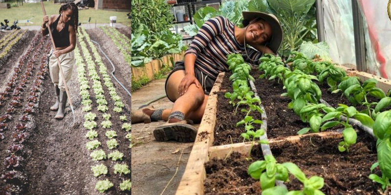 Como é o desenvolvimento dos produtos biodefensivos