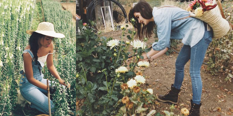 Qual a importância dos biodefensivos e o que são!