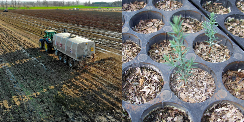 Mercado de fertilizantes no Brasil