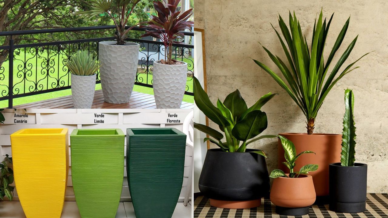 Plantas para vaso grande