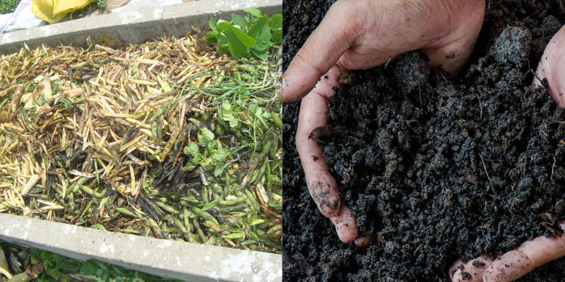 Qual o momento certo de comprar fertilizantes