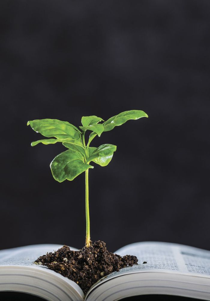 Aplicativos Agro Mais Usados em 2023 (1)