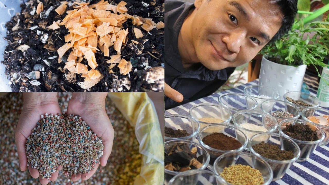 Como escolher o melhor adubo para sua horta