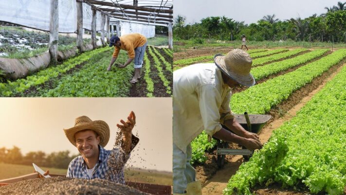 Tecnologia está transformando o agronegócio na roça