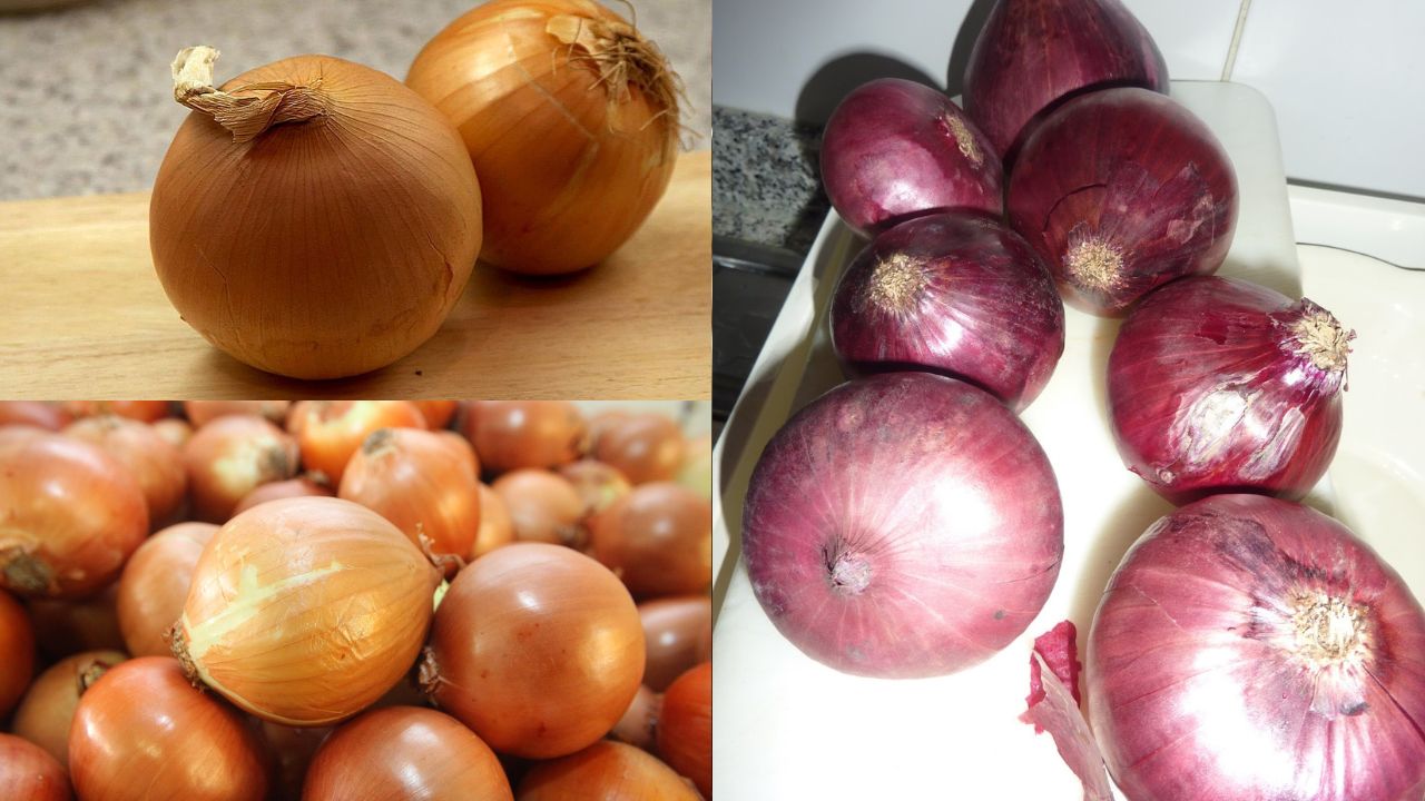 Benefícios da casca da cebola