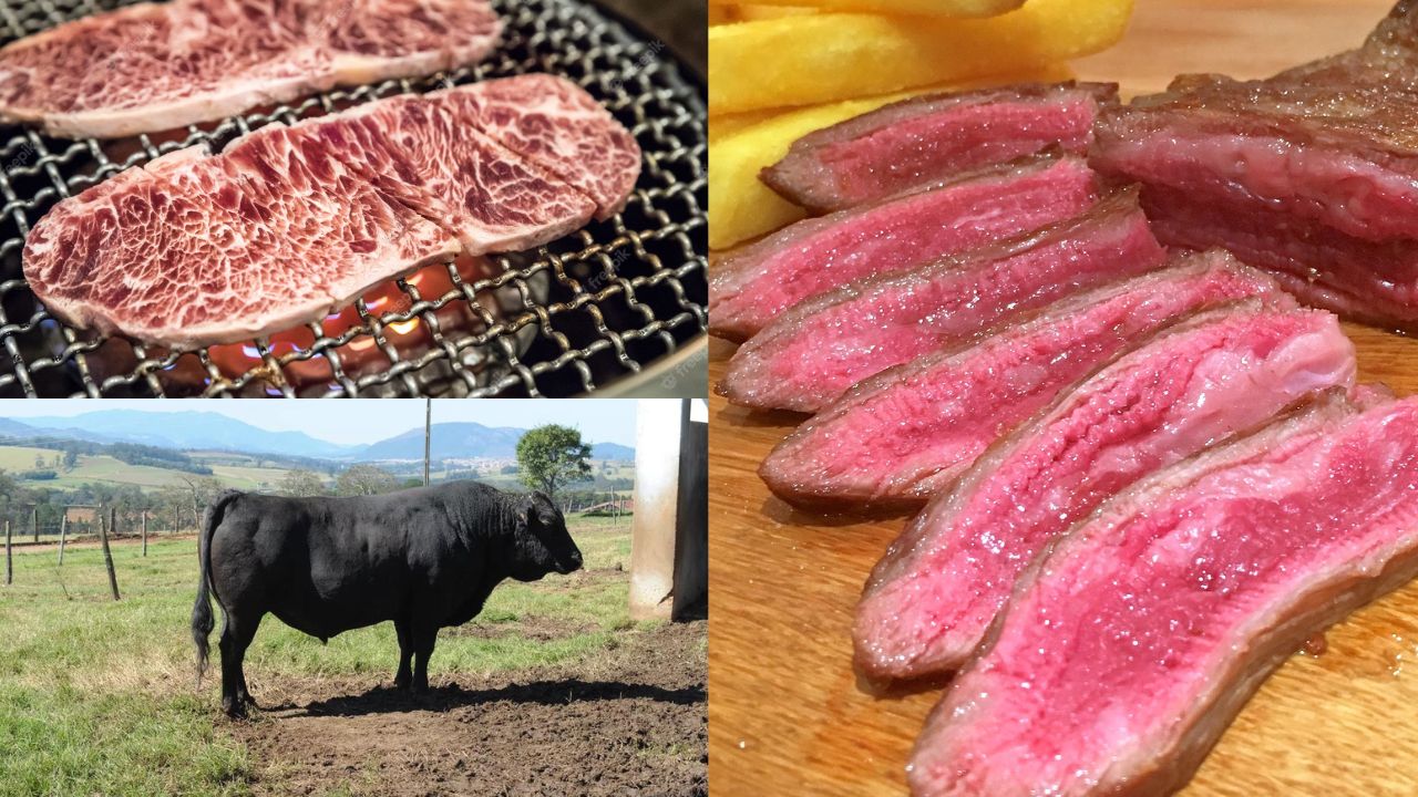 Carne wagyu