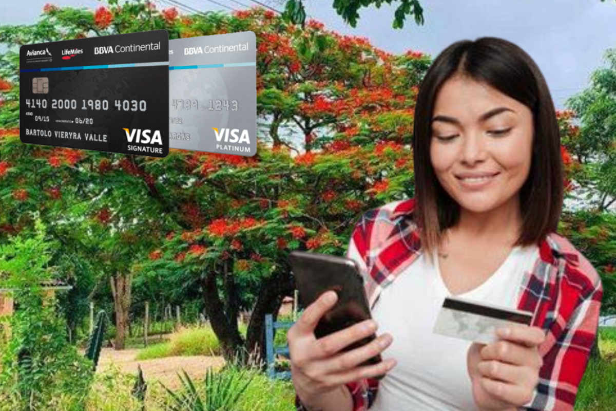 Cartão de crédito sem consulta ao SPC/Serasa