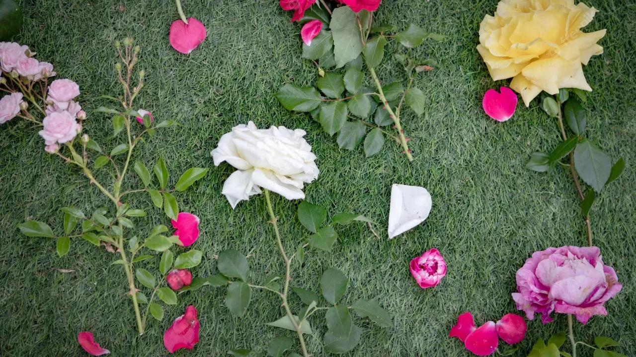 Dicas para Prolongar a Vida das Rosas Cortadas